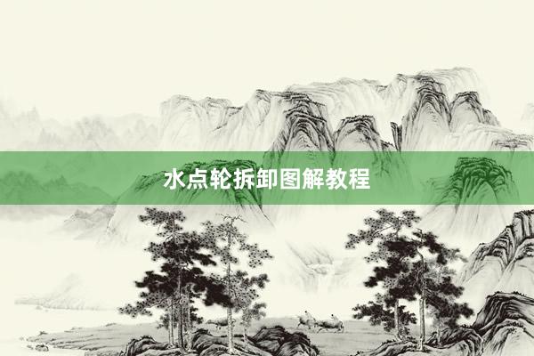 水点轮拆卸图解教程